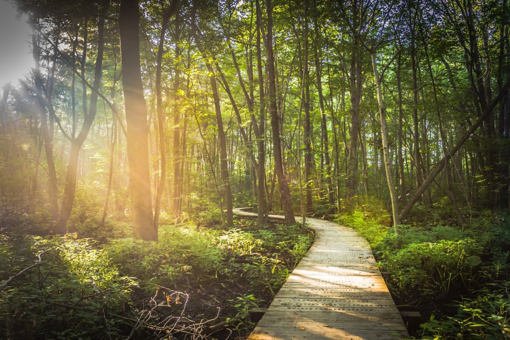 Start your day off with a stroll along one of these pristine pathways