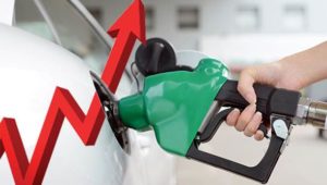 Fuel Price