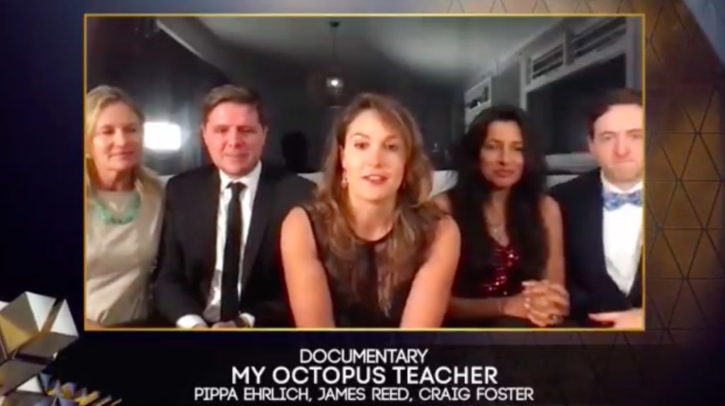 My Octopus Teacher wins BAFTA