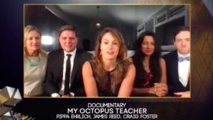 My Octopus Teacher wins BAFTA