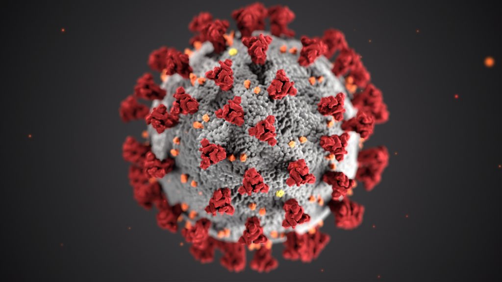 Brazil P1 coronavirus variant