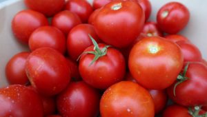 I feel it from my fingers tomatoes - here's what this fruit can do
