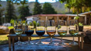 Spoil you mom on Mother's Day with these incredible wine farm specials