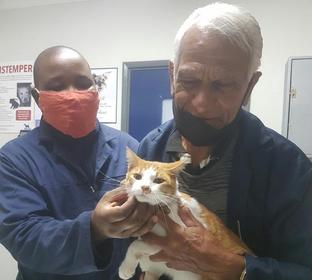 Cat survives being shot twice by wicked Belgravia Estate kids