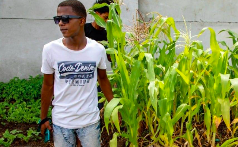 Elsies River youth exchange drugs and crime for vegetable farming