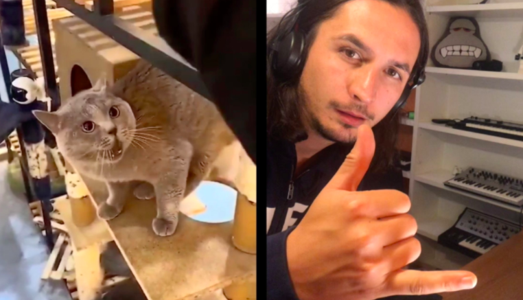 WATCH: The Kiffness and a cat go viral with this song