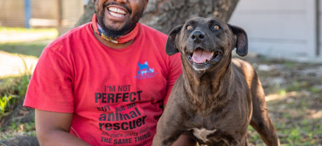 The Animal Welfare Society of SA - Our local pet heroes