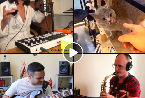 WATCH: The Kiffness and the Cat have another groove for us
