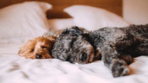 The benefits of good sleep