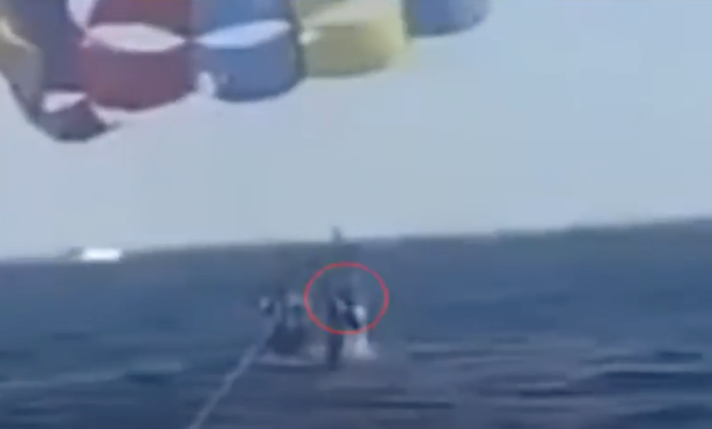 WATCH: Shark propels out of water, bites parasailor's foot off