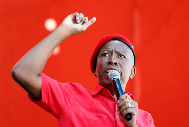 Julius Malema lashes out after SANDF calls him out for spreading 'fake news'