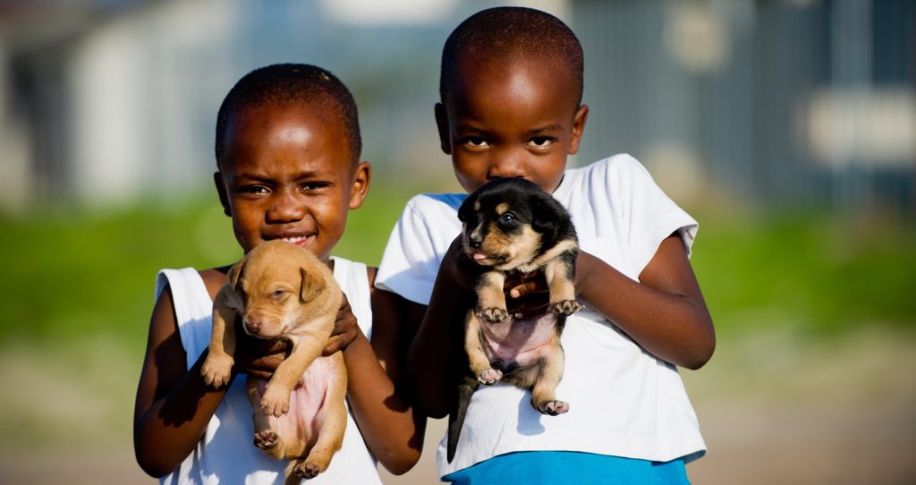 Mdzananda Animal Clinic aims to vaccinate 1 000 dogs on World Rabies Day