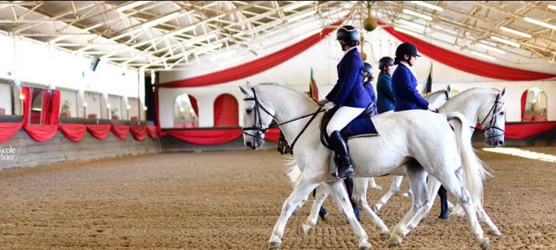 Don't miss out on the South African Lipizzaners first ever fright night
