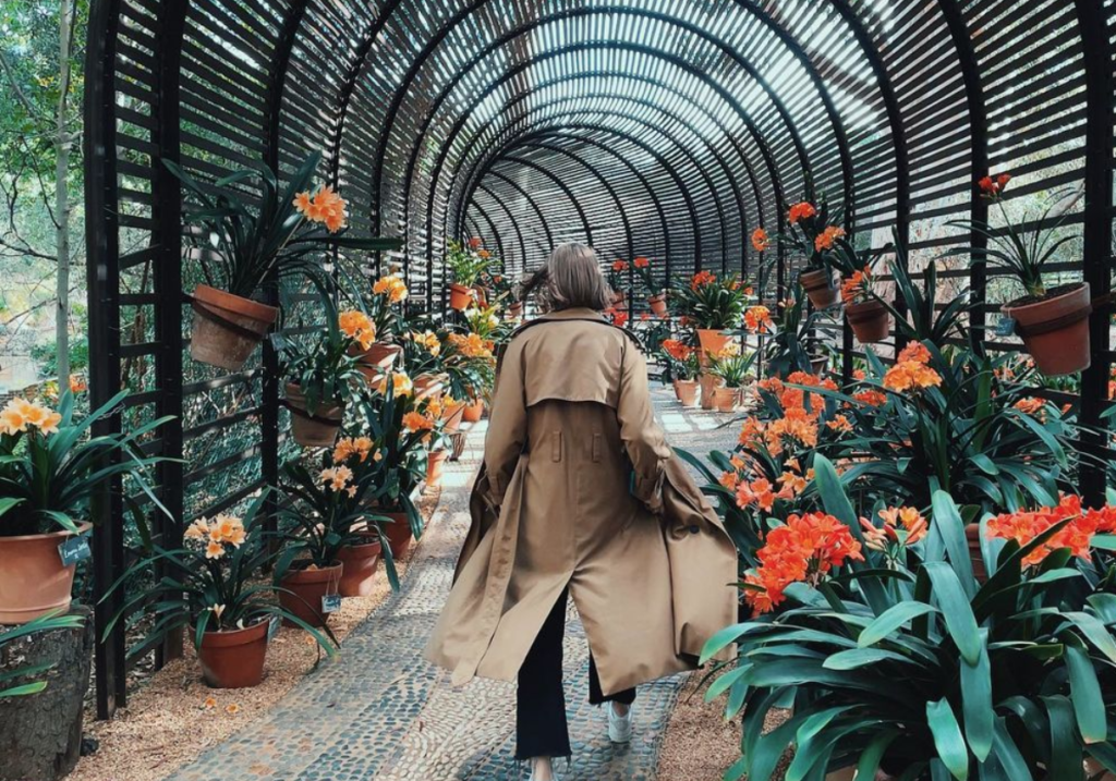 Your guide to the most 'Instagrammable' garden spots to explore