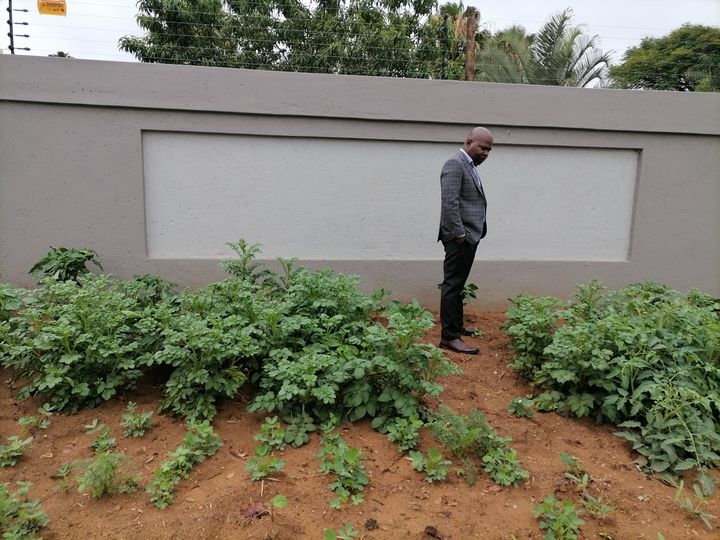 State withdraws its case against the 'Cabbage Bandit'