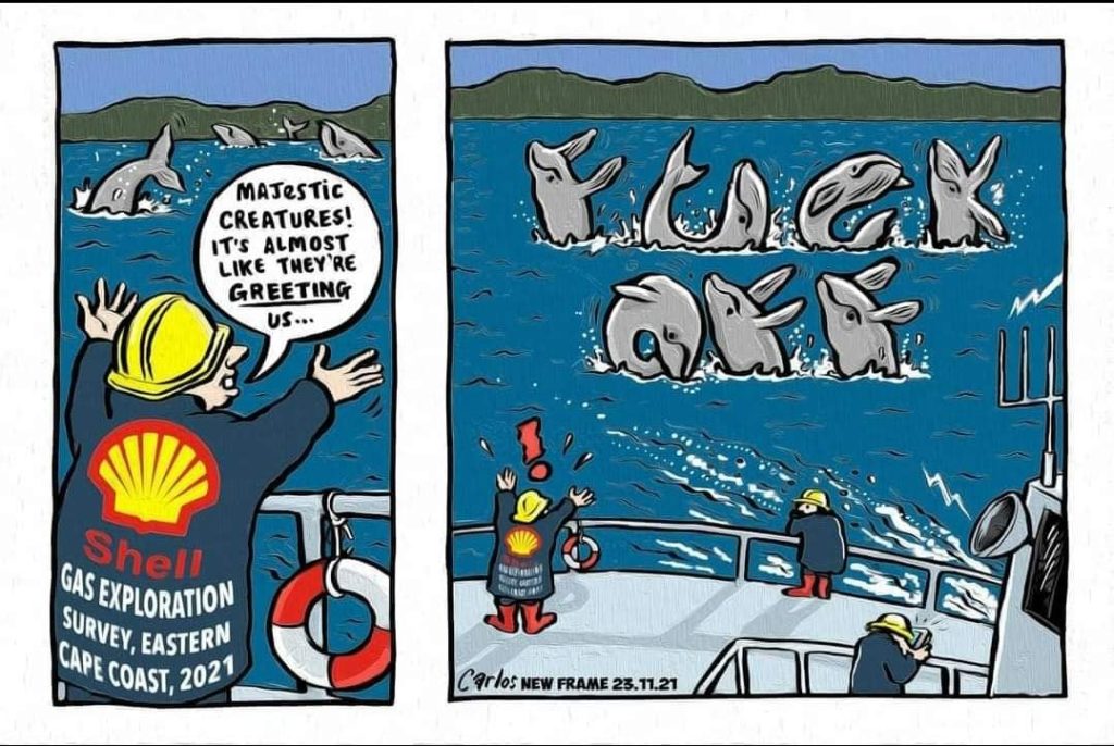 Shell's Seismic Survey: hysterical hypocrisy or environmental catastrophe?