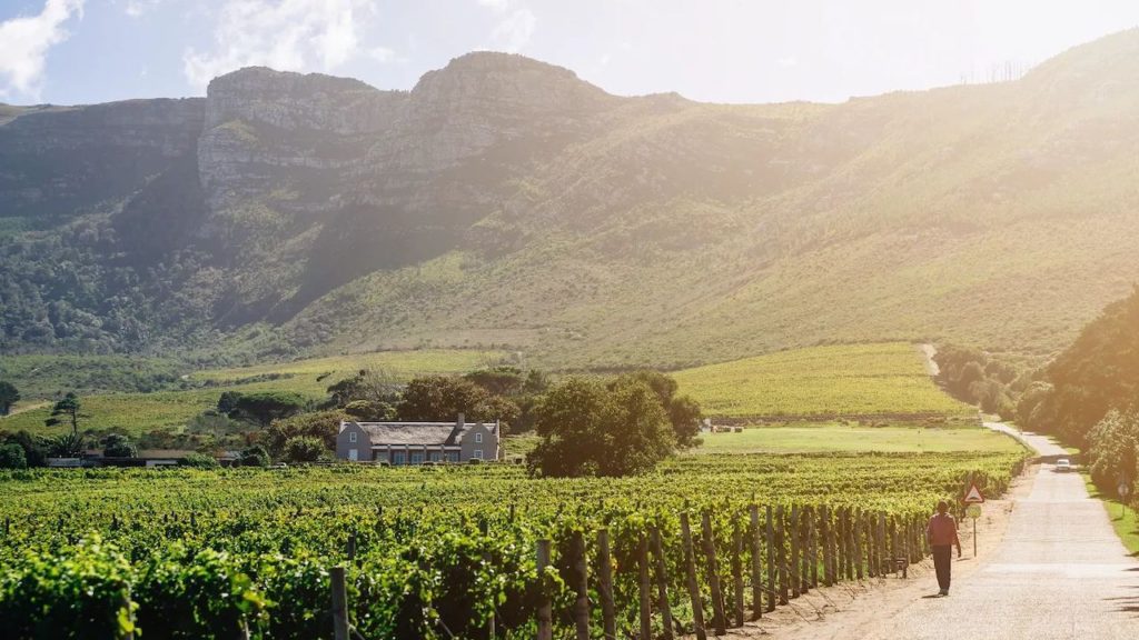 5 wine estates to try this weekend that are not in Stellenbosch