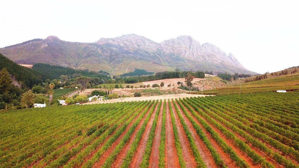 Muratie Wine Estate invites locals for an afternoon filled with scrumptious food and live entertainment