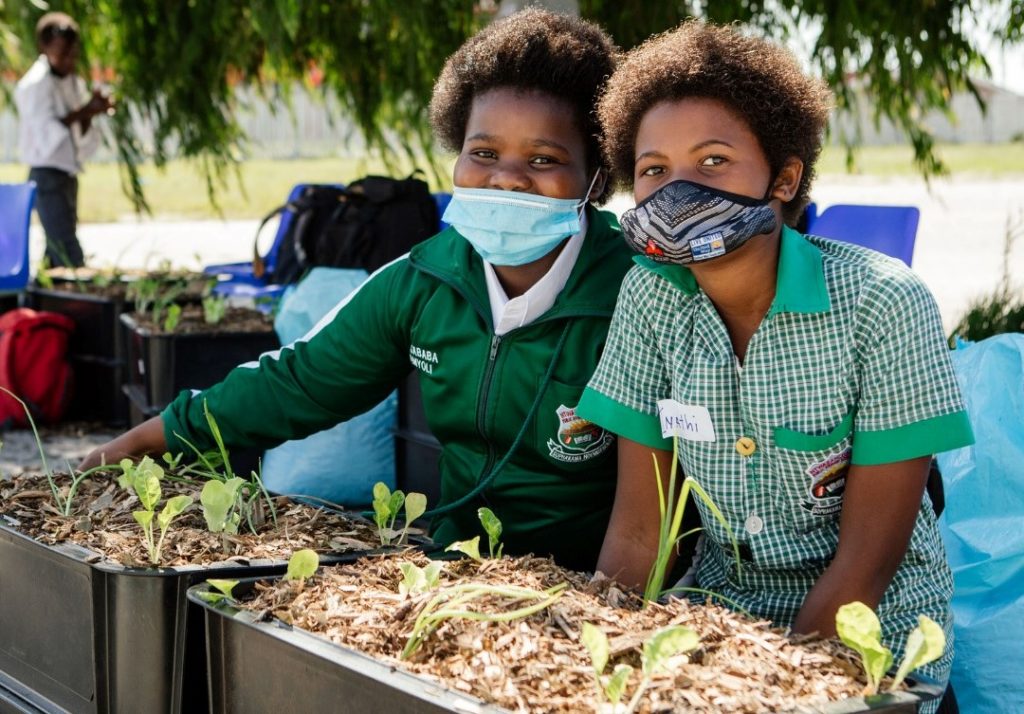 Greenpop and Urban Harvest launches food garden programme to empower SA households