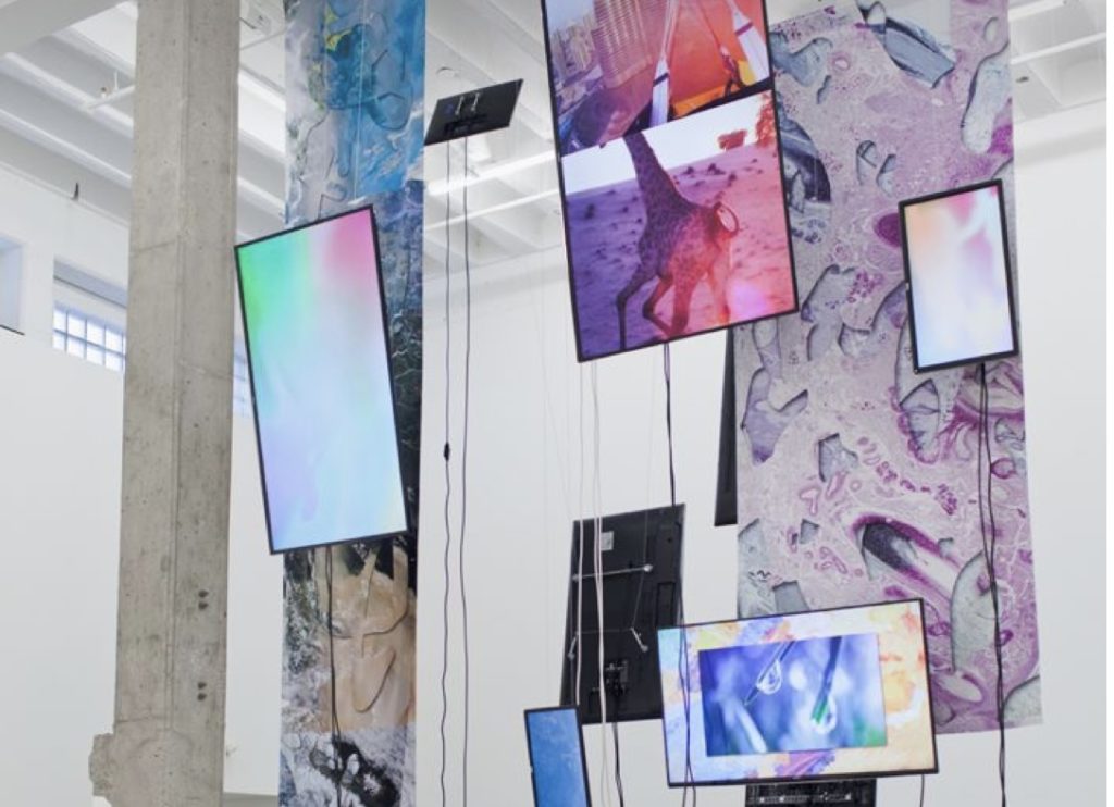 Art as a Christmas gift? This digital gallery is your hottest spot