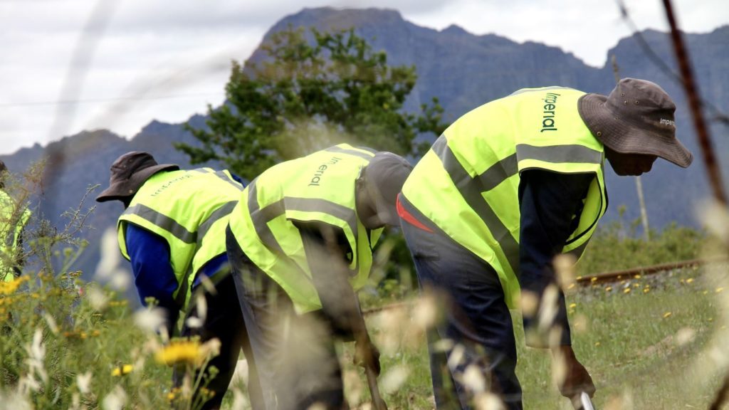 Imperial partners with Trails South Africa to develop and connect communities safely in the Western Cape