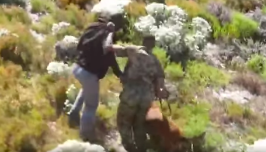 WATCH: Poachers arrested at Table Mountain National Park