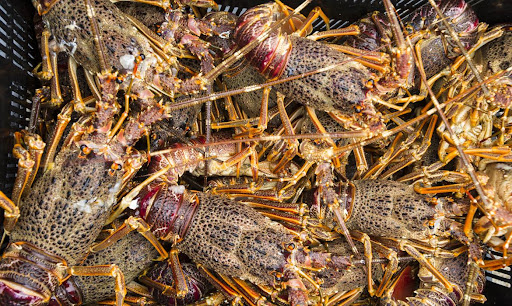 Police arrest suspects with thousands of crayfish tails