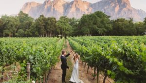 romantic wine farms to check out this Valentine's Day