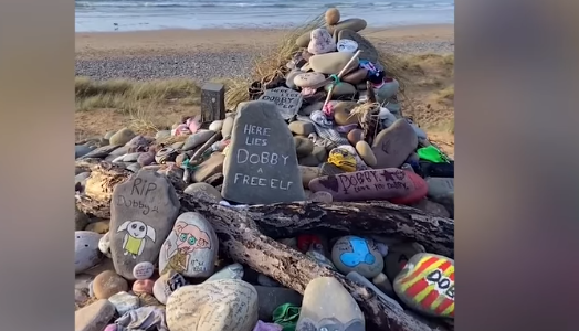 WATCH: Harry Potter fans can now visit Dobby's grave site