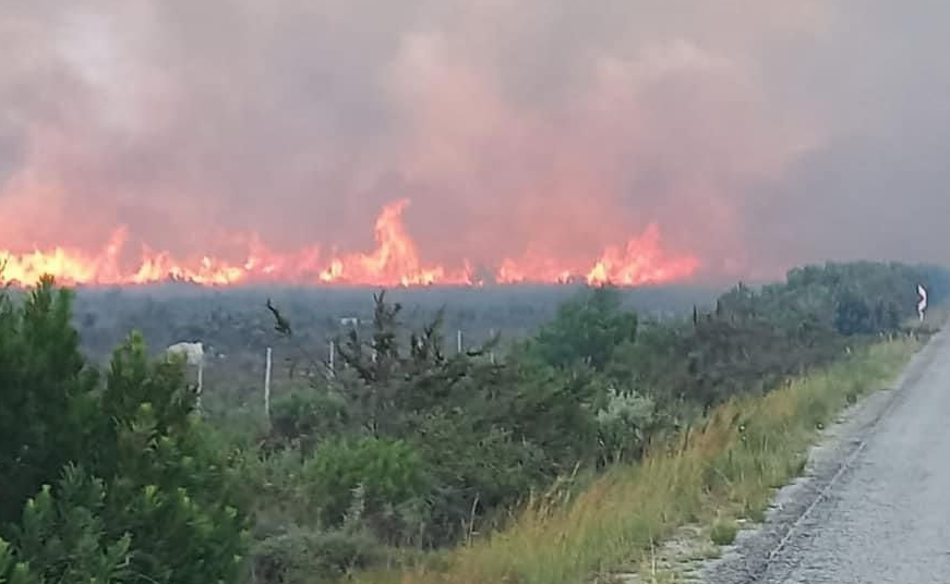 Update: Precautionary evacuation order called for in parts of Kleinmond