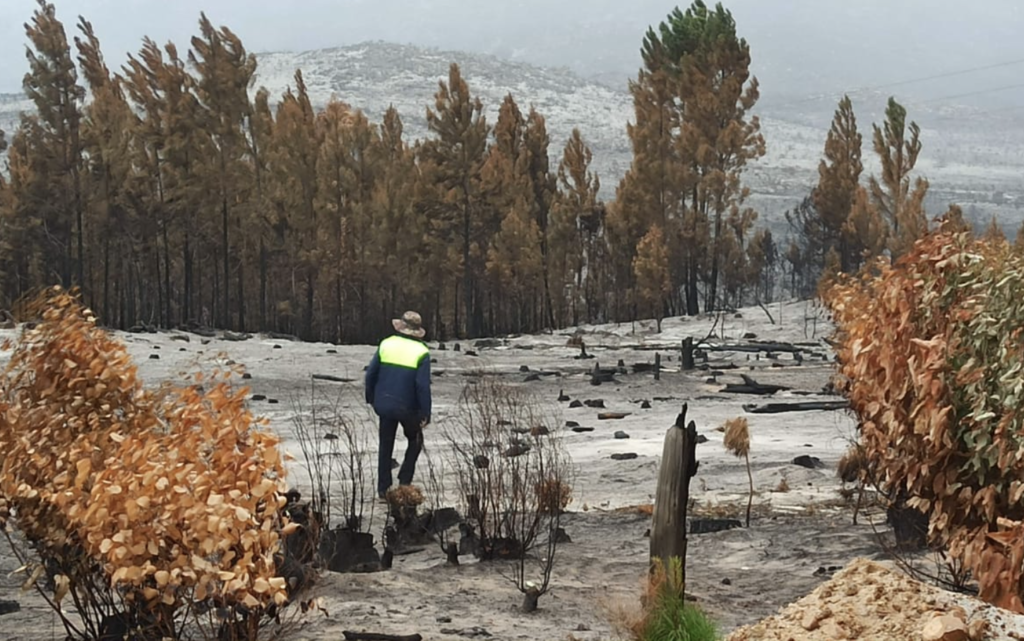 Drone pictures reveal damage caused by Kleinmond fire, animals injured