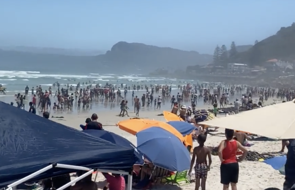 WATCH: Chaos at Muizenberg Beach due to sketchy shark sighting