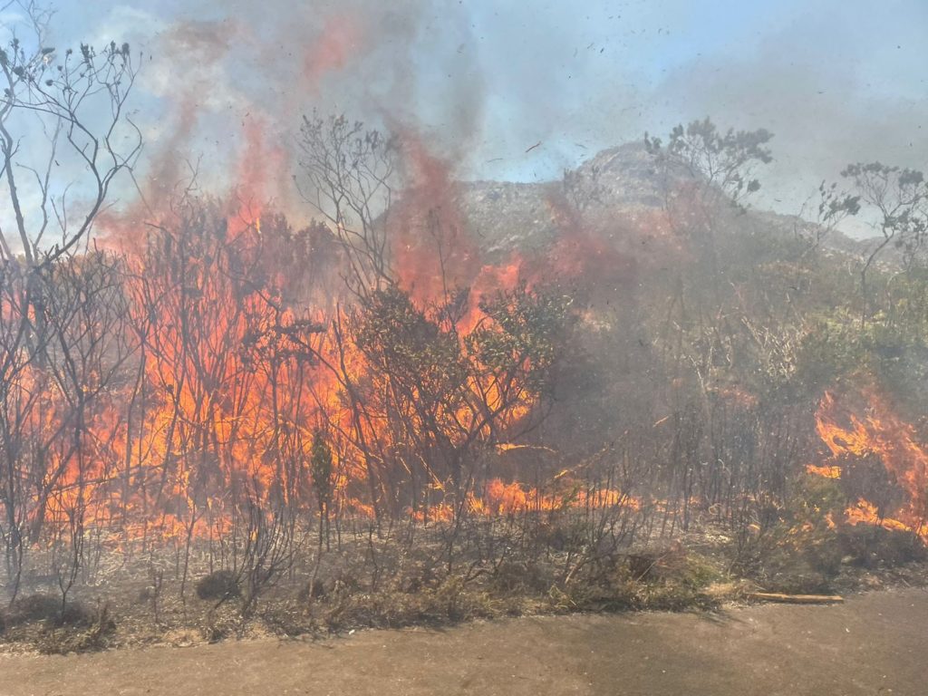 Look! Multiple fires burning at Silvermine on the ‘hottest day on Earth’