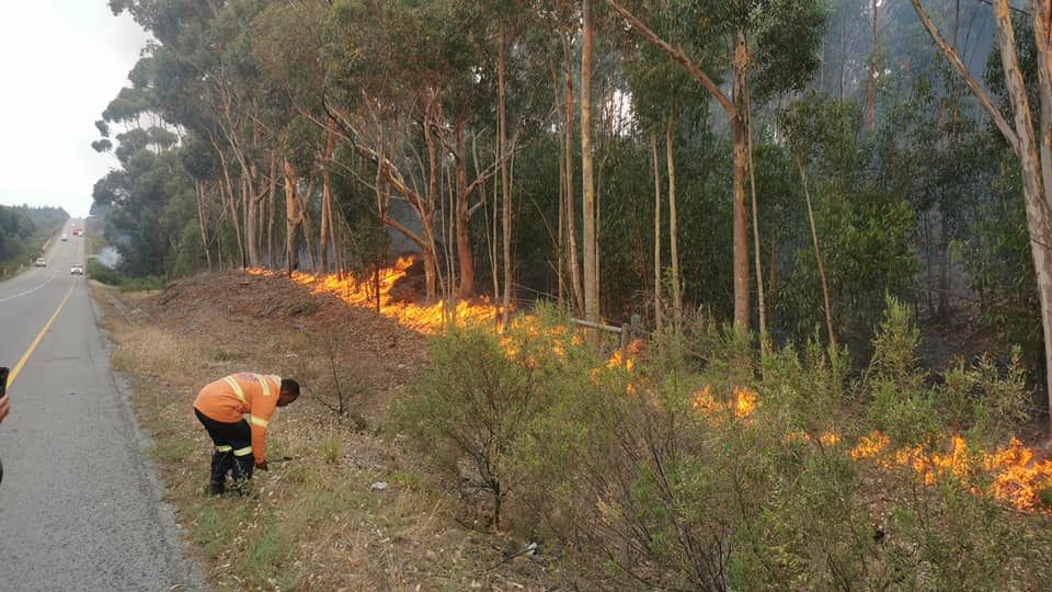 Look: City announces schedule for controlled burns in parts of Cape Town