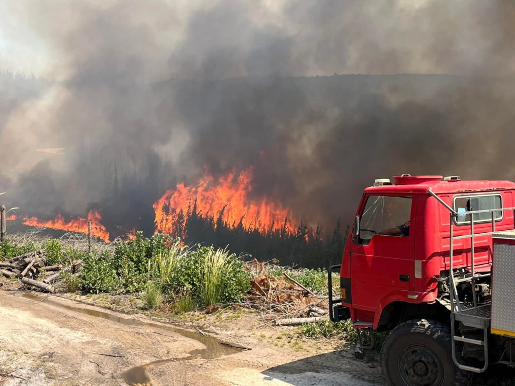 Helderberg Nature Reserve to remain closed to assess fire damage