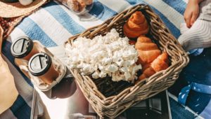 summer picnic experiences in cape town