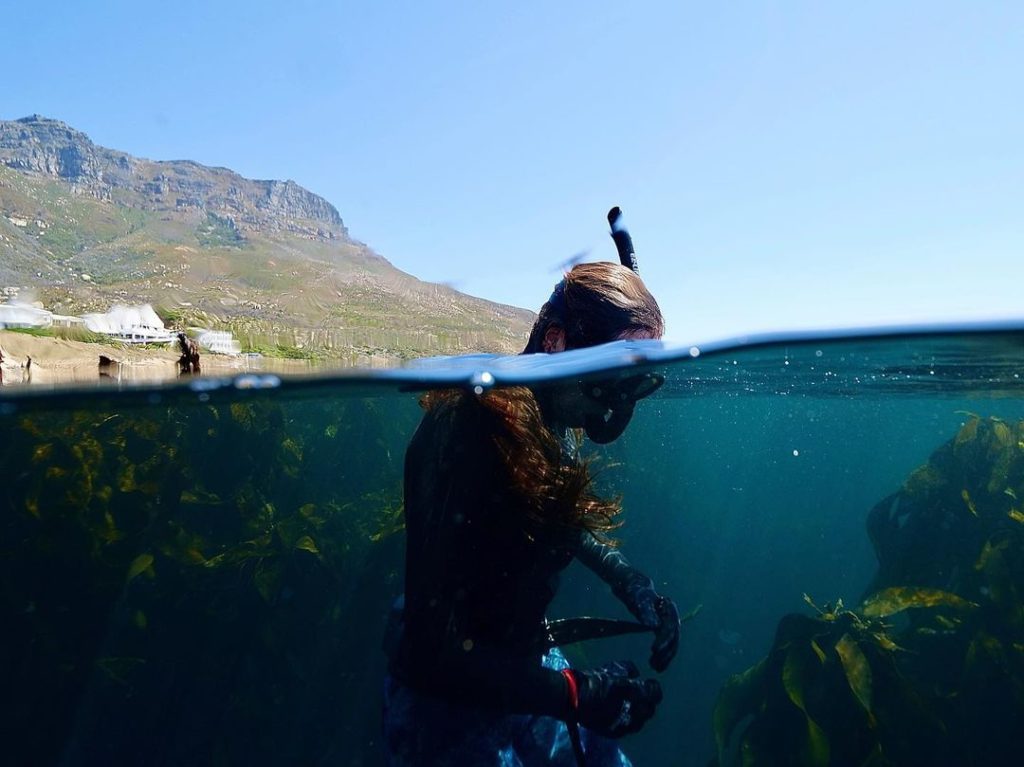 Snorkelling Cape Town's kelp forests - where to find them and what you might see