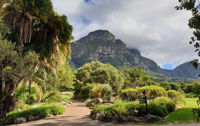 Nature and a vibe: 5 wheelchair-friendly activities in Cape Town