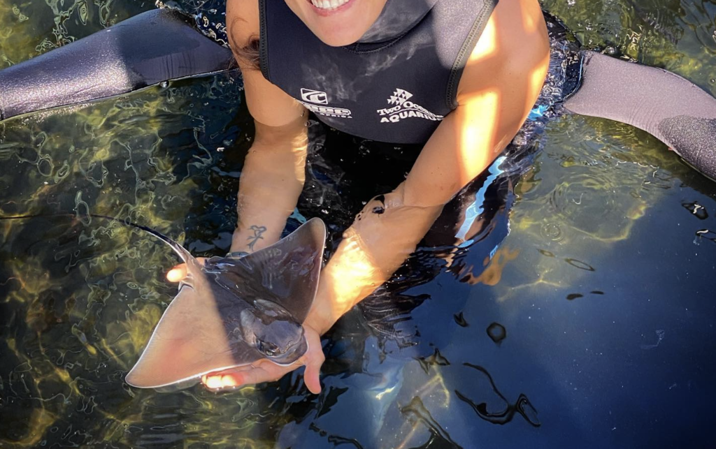 Look! Baby eagle ray born at the Two Oceans Aquarium is thriving!