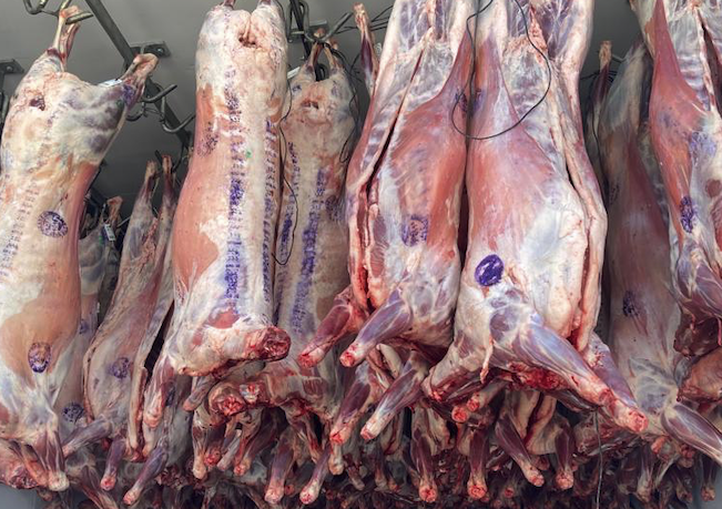 Suspects caught with a substantial amount of stolen meat in Cape Town