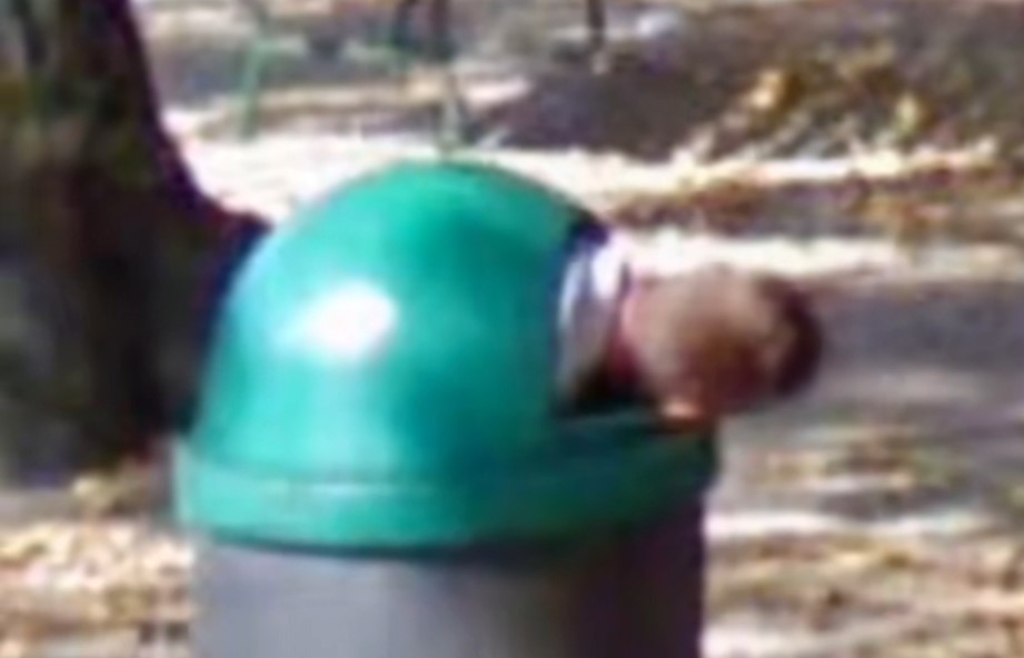 WATCH: "Hide and seek be like", Google Maps user finds image of a boy poking his head out of a bin