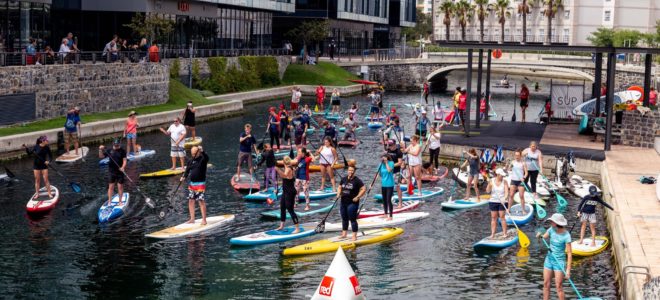 paddle for animals in need