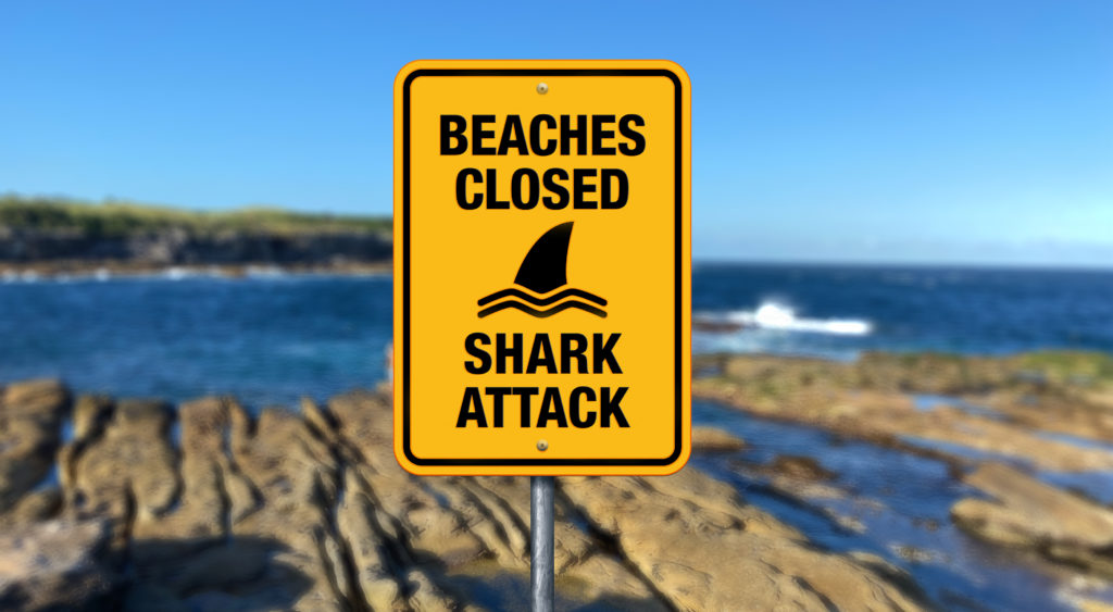 shark-attack-in-sydney