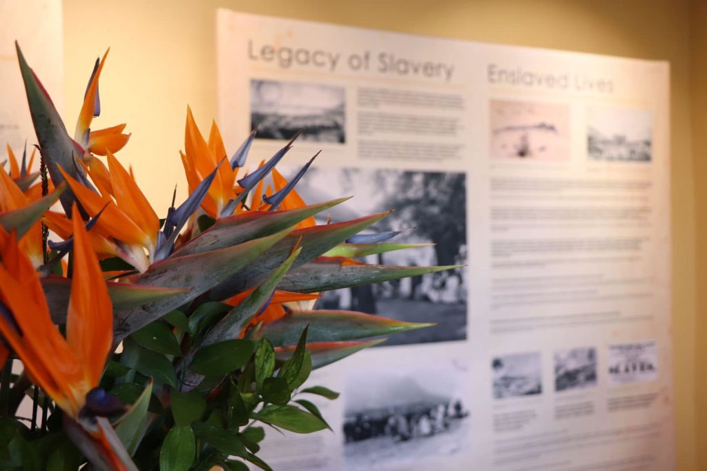 Leeuwenhof Slave Quarters Remembrance Gallery officially opens in Cape Town