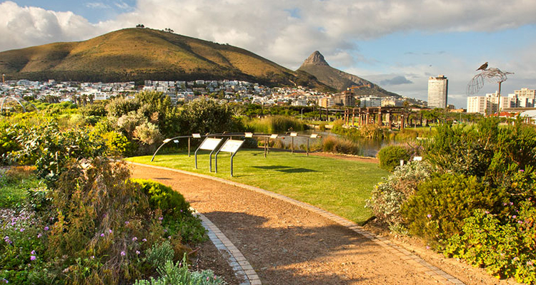 Best spot in town! Green Point Urban Park snags 5-star rating on Trip Advisor