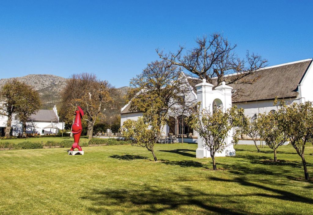 Celebrate Steenberg's harvest time with these awesome experiences