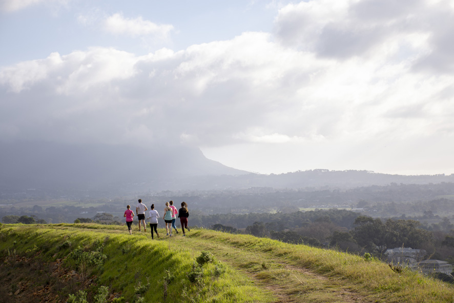 Meander through Steenberg Vineyards on this epic trail run in support of SA Guide-Dogs