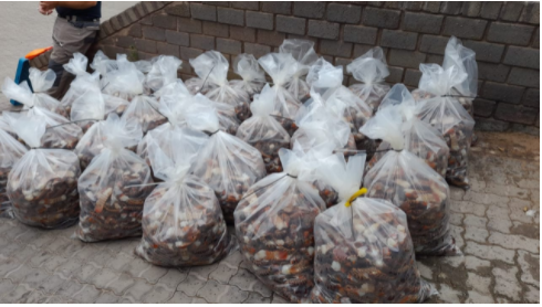 Two men, more than R1 million worth of crayfish tails confiscated