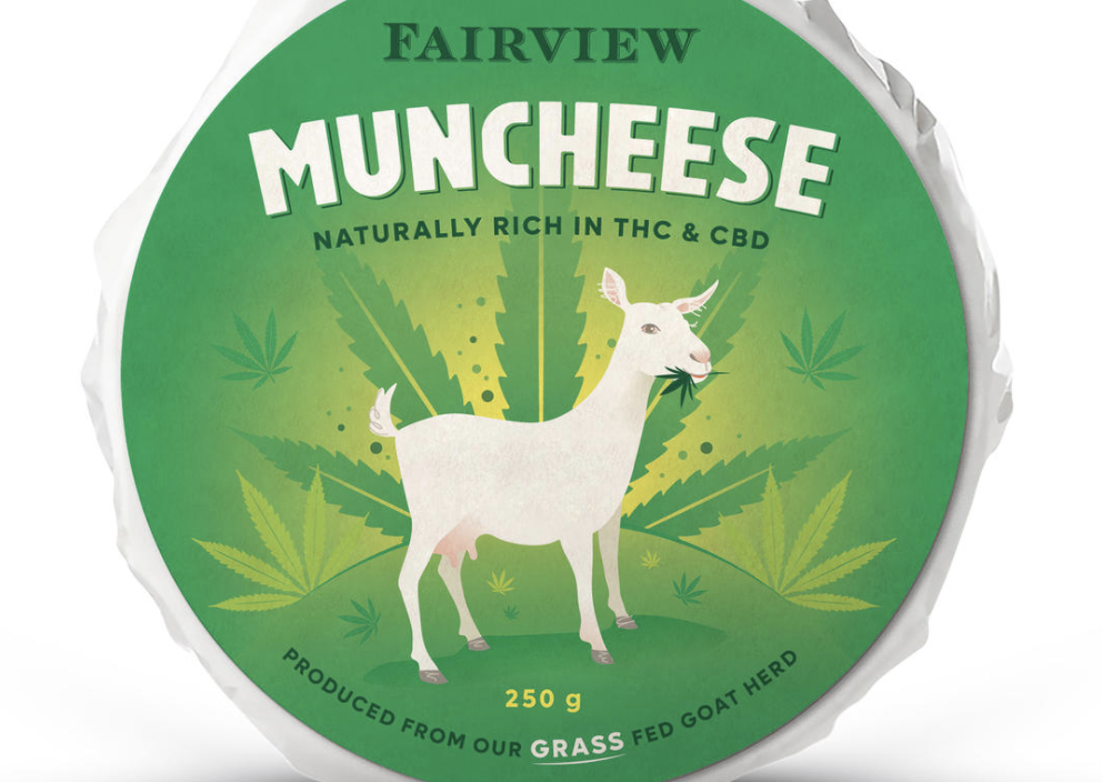 Fairview's first cannabis crop ravaged by goats! Wait, what?