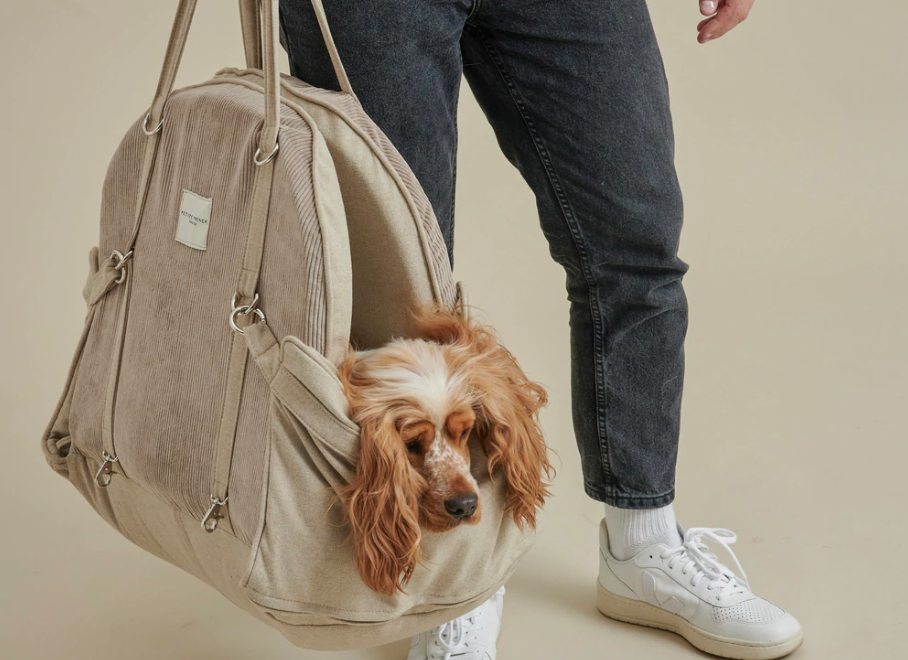 A bag, carseat and bed - there's a new doggy designer in Cape Town